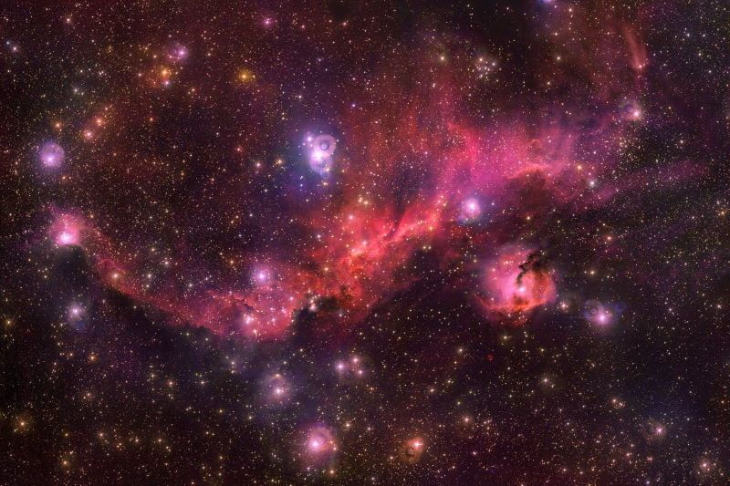 横跨100光年的玫瑰色海鸥星云