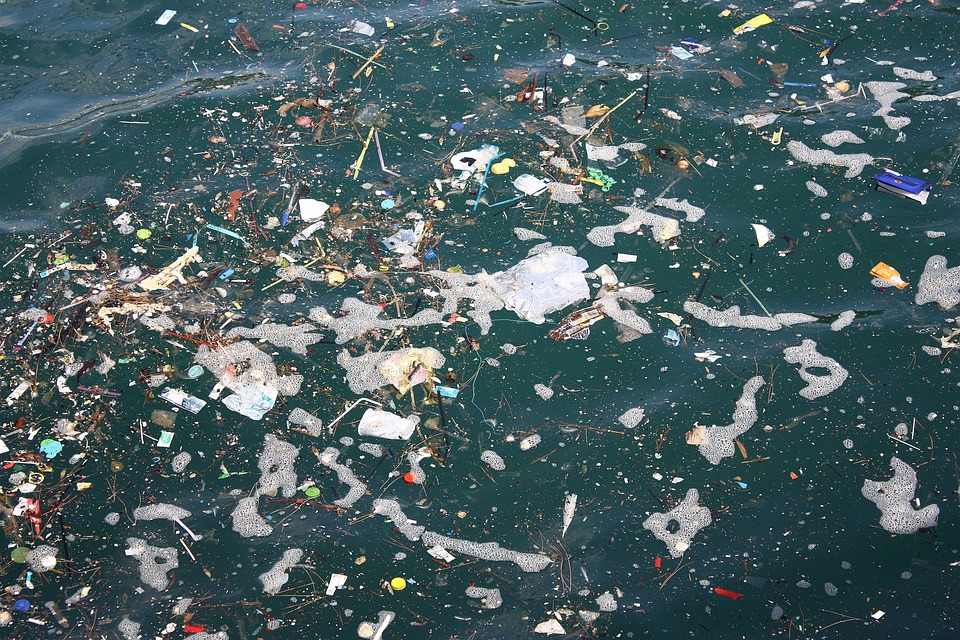 플라스틱 입자 오염은 매주 신용카드만큼의 플라스틱을 먹을 정도로 심각합니다.